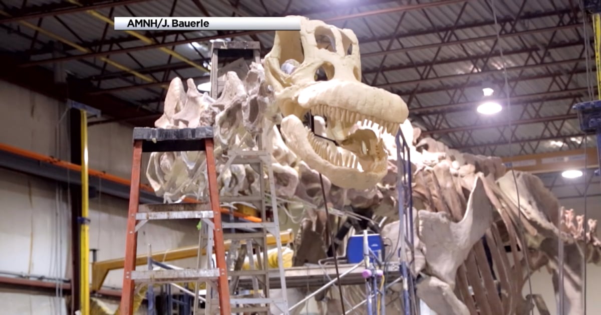 overpeck dinosaur exhibit